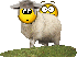 http://www.buellforum.nl/misc.php?file=22221